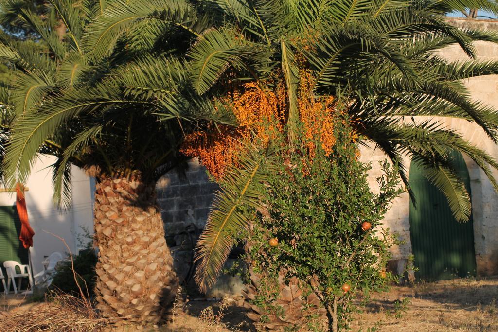 Masseria Vivi Il Salento Santa Caterina  Pokoj fotografie