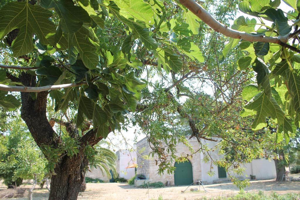 Masseria Vivi Il Salento Santa Caterina  Pokoj fotografie