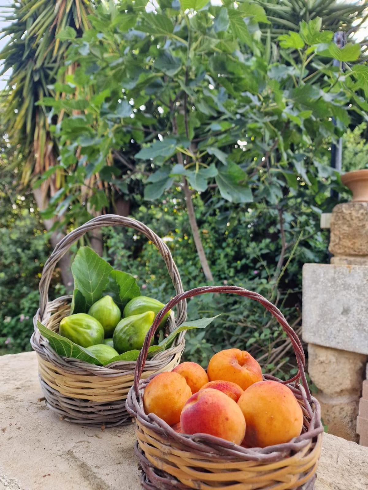 Masseria Vivi Il Salento Santa Caterina  Exteriér fotografie