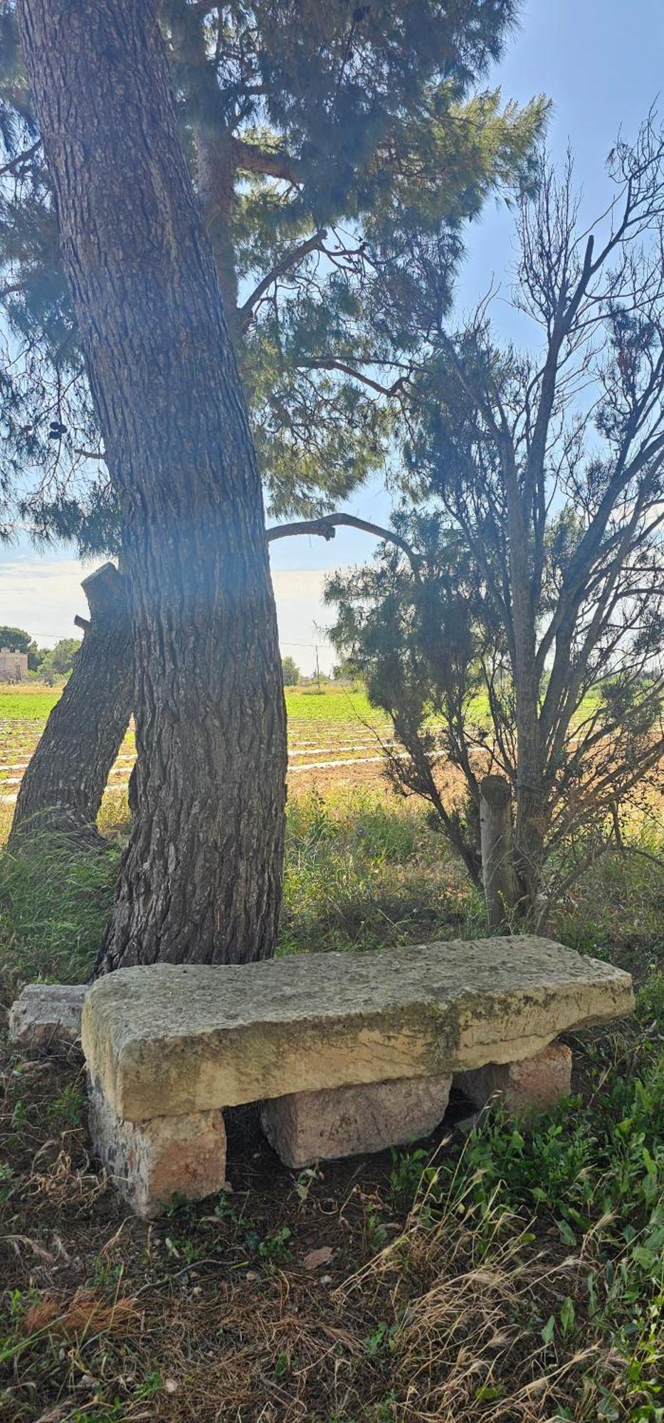 Masseria Vivi Il Salento Santa Caterina  Exteriér fotografie