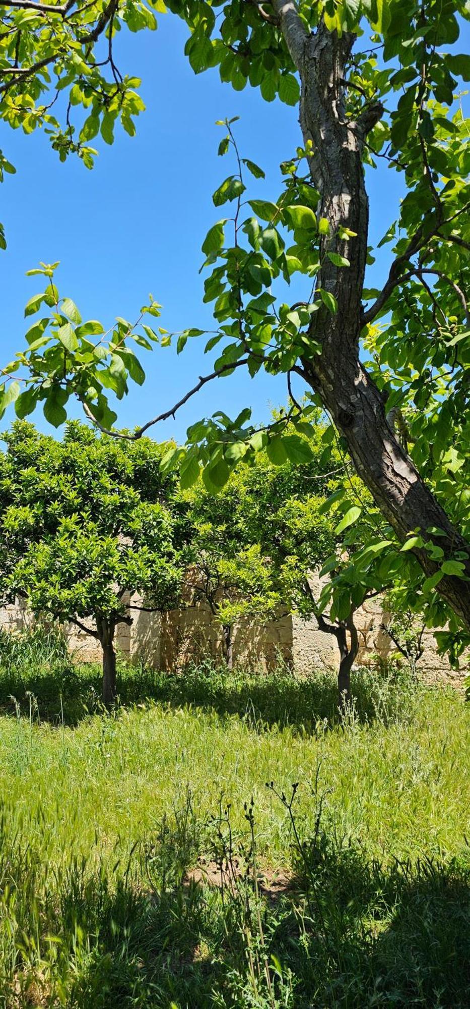 Masseria Vivi Il Salento Santa Caterina  Exteriér fotografie