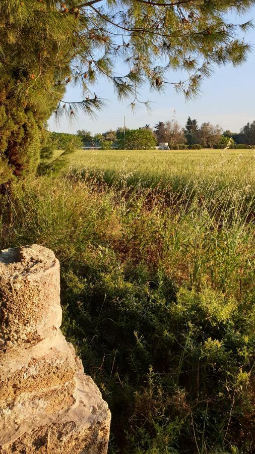 Masseria Vivi Il Salento Santa Caterina  Exteriér fotografie